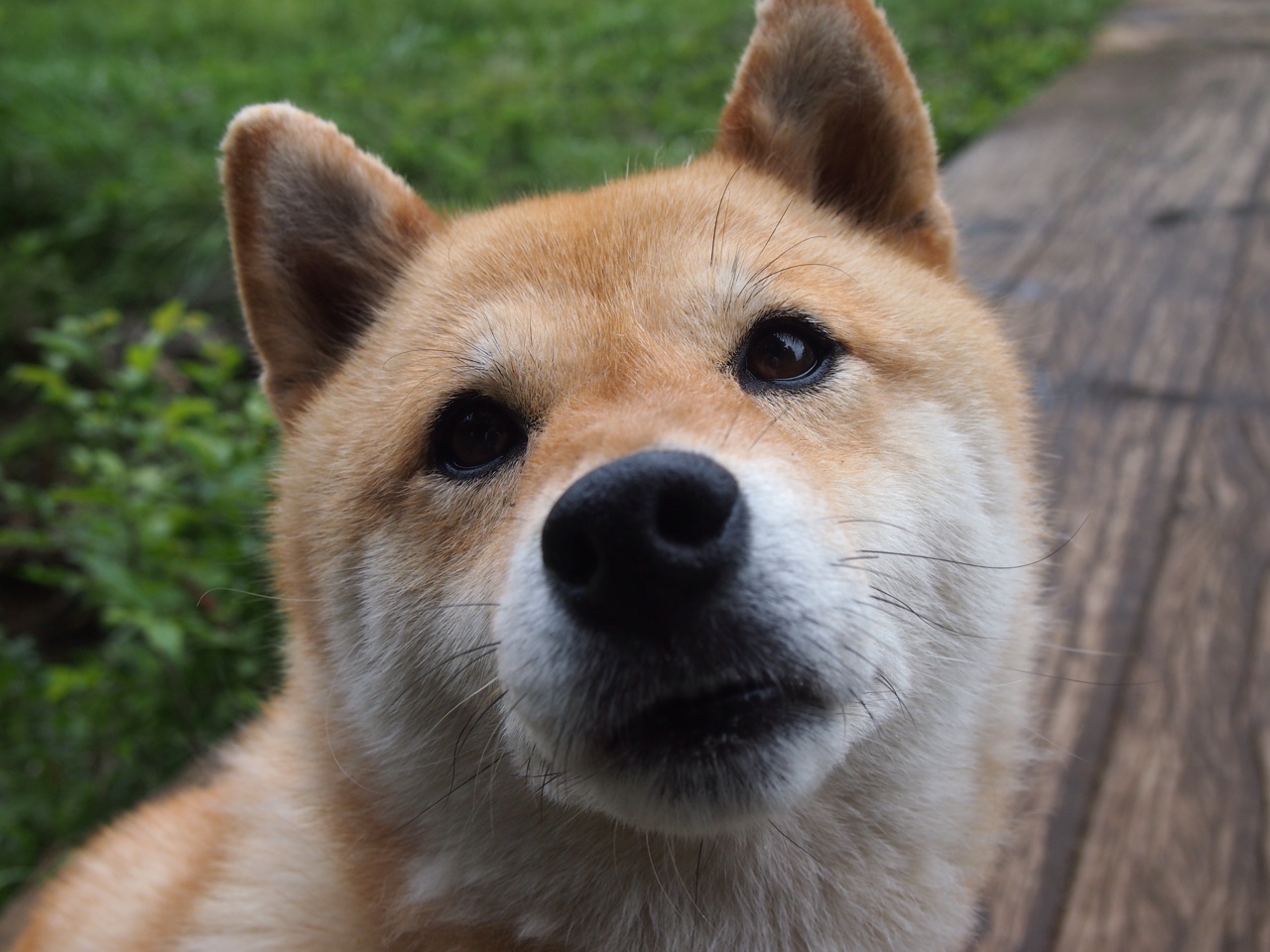 体育精神：篮球场上感人瞬间集锦，篮球场上经典语录