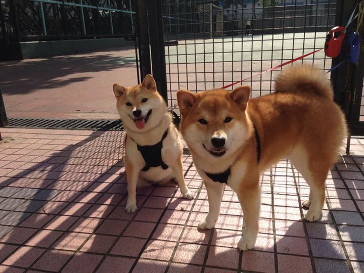 关键数据:投篮命中率46%,助攻22次!,投篮命中率100%