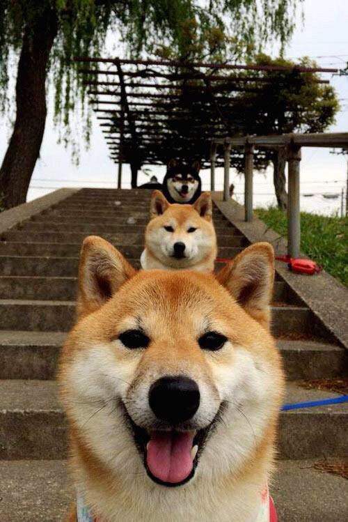 历史预言:经典战役中的战术未来流行趋势,2021战争预言是真的吗