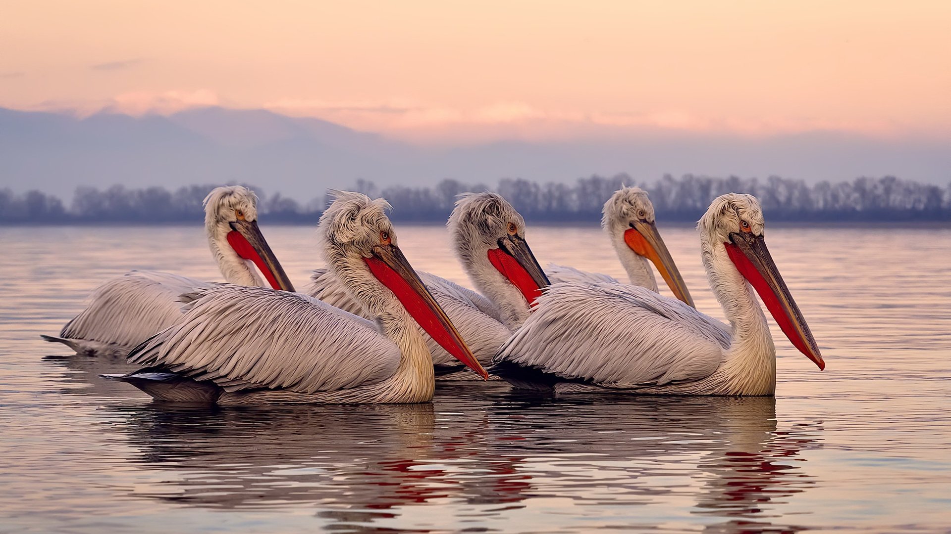 “科目三”广场舞在广西大化县火爆出圈,广西科目三考试最新视频