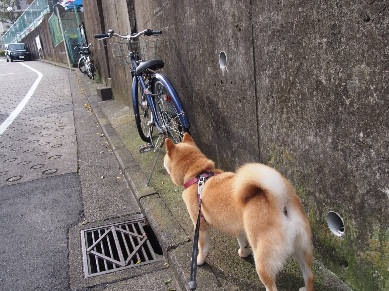 世界水上漂流争霸赛,水流激荡中的极速快感,水上漂流怎么玩