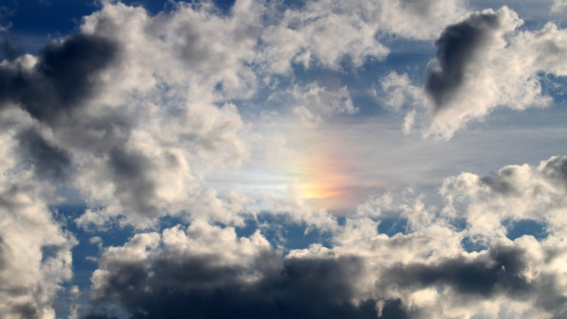 争议判罚总结:这一夜裁判让球迷怒火中烧,篮球裁判争球在哪里发球